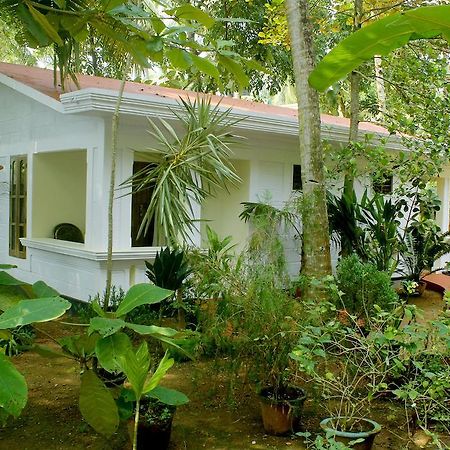 Jickys Nest Hotel Varkala Værelse billede
