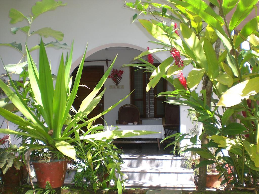 Jickys Nest Hotel Varkala Værelse billede