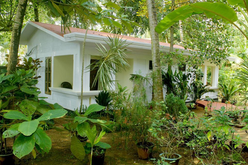 Jickys Nest Hotel Varkala Værelse billede